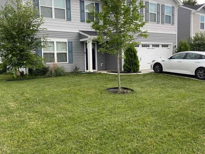 Lawn care service in Pendleton, 46064
