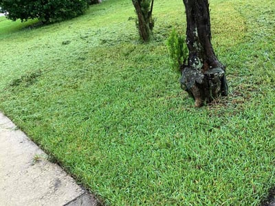 Lawn care service in Jacksonville, 32221