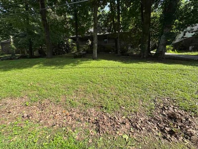 Lawn care service in Madison, 35758