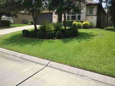 Lawn care service in Conroe, 77304