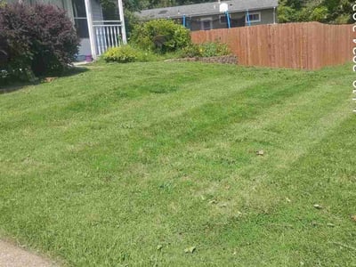 Lawn care service in St. Louis, 63126
