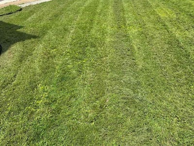 Lawn care service in Virginia Beach, 23464