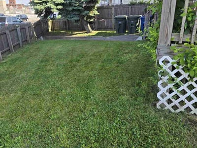 Lawn care service in Bridgeport, 06607