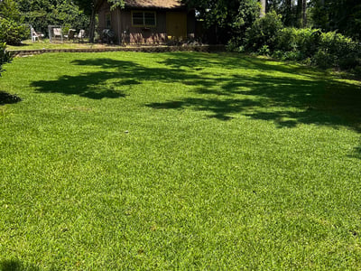 Lawn care service in Augusta, 30909