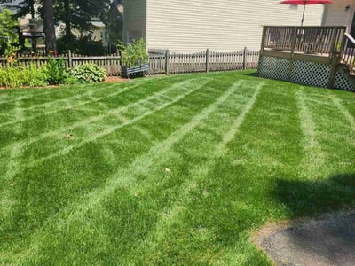 Lawn care service in Richmond, 23236