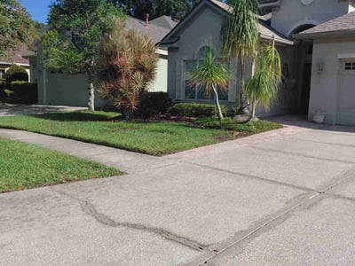 Lawn care service in Tampa, 33626