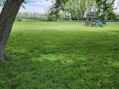 Lawn care service in Greenfield, 46140