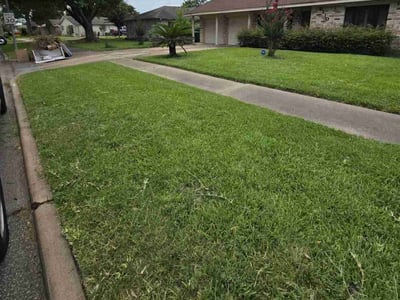 Lawn care service in Houston, 77085