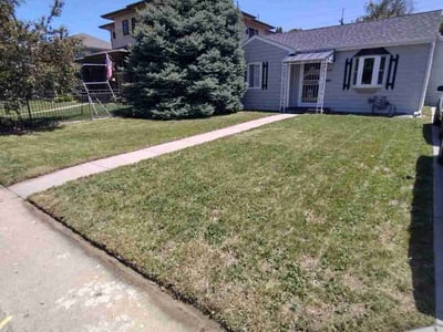 Lawn care service in Denver, 80210