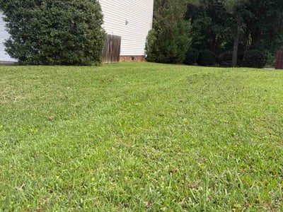 Lawn care service in Charlotte, 28277