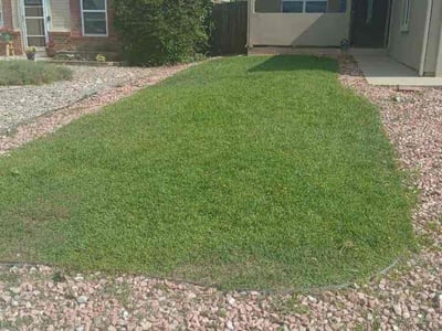 Lawn care service in Colorado Springs, 80920
