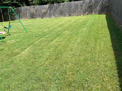 Lawn care service in Oak Grove, 42262