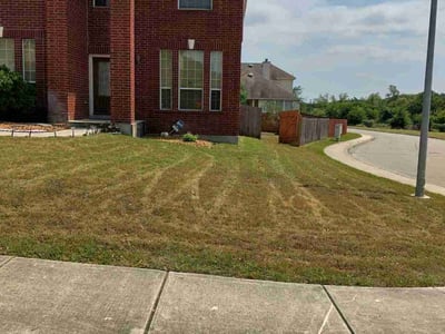 Lawn care service in San Antonio, 78260
