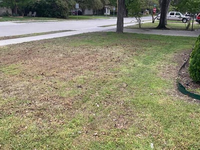Lawn care service in Irving, 75061