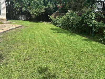 Lawn care service in San Antonio, 78258