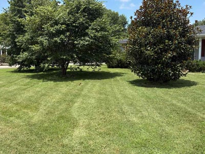 Lawn care service in Shepherdsville, 40165