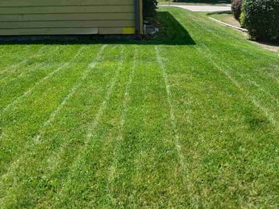 Lawn care service in Menomonee Falls, 53051
