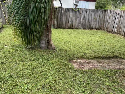Lawn care service in Lutz, 33558