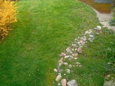 Lawn care service in Seattle, 98107