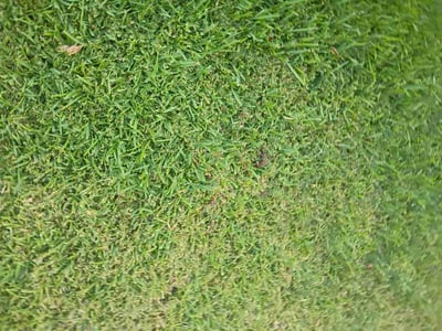 Lawn care service in North Richland Hills, 76182