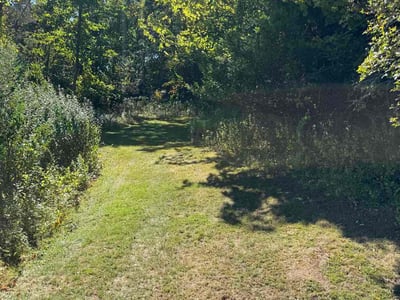Lawn care service in Meriden, 06451