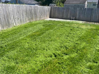 Lawn care service in Glen Allen, 23060