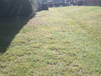Lawn care service in Wylie, 75098