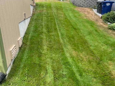 Lawn care service in Puyallup, 98375