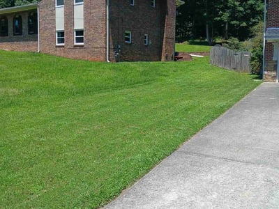 Lawn care service in Atlanta, 30311
