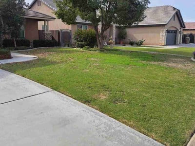 Lawn care service in Bakersfield, 93314