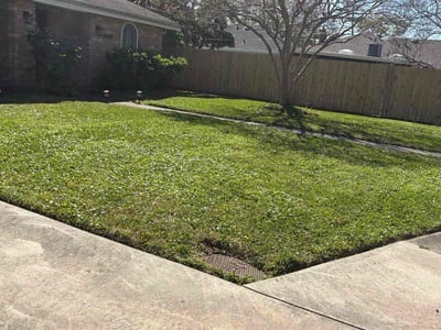 Lawn care service in Metairie, 70006