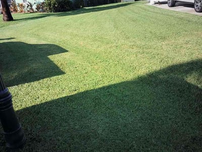 Lawn care service in Port St. Lucie, 34952