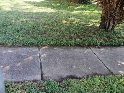 Lawn care service in Sugar Land, 77498