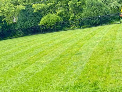 Lawn care service in Bayside, 53217