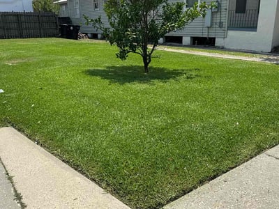 Lawn care service in New Orleans, 70119