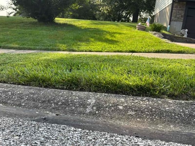Lawn care service in Florence, 41042