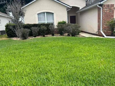 Lawn care service in Davenport, 33897