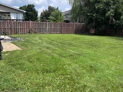 Lawn care service in Lexington, 40509