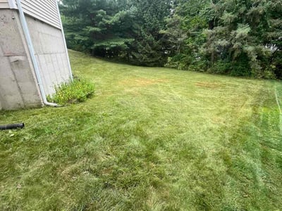 Lawn care service in Hackettstown, 07840