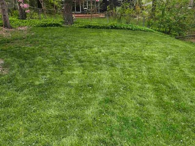 Lawn care service in Minneapolis, 55418