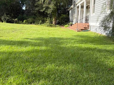 Lawn care service in Wilmington, 28411