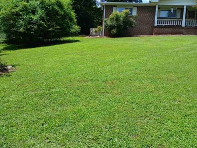 Lawn care service in Chattanooga, 37416
