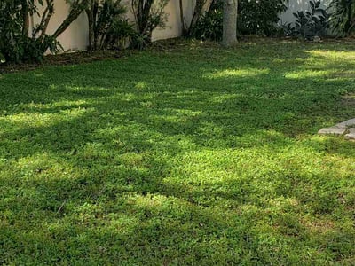 Lawn care service in Sarasota, 34232