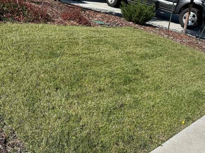 Lawn care service in Colorado Springs, 80924
