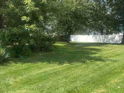 Lawn care service in Canton, 44705