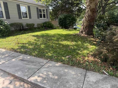Lawn care service in Falls Church, 22042