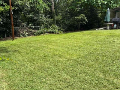 Lawn care service in Roanoke, 24017