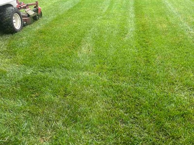 Lawn care service in Alburtis, 18011