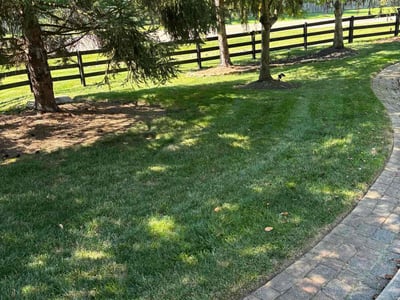 Lawn care service in Cincinnati, 45244