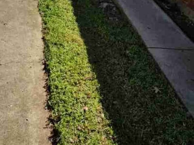 Lawn care service in Denton, 76207